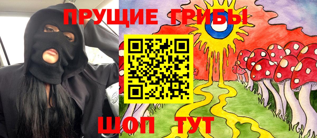 Псилоцибиновые грибы прущие грибы Отрадное