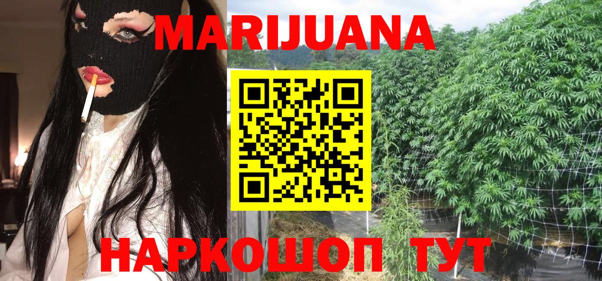 Каннабис сатива Отрадное